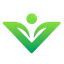 Vysible